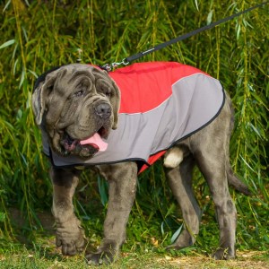 Накидка из нейлона для неаполитанского мастифа «Raincoat Cape»